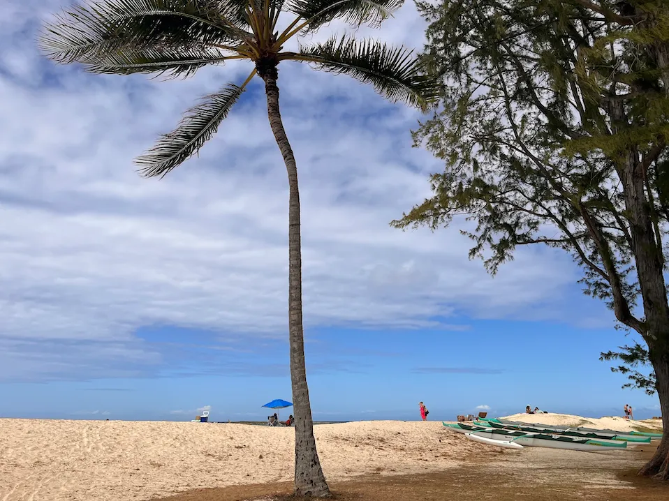 カイルアビーチは美しいビーチが魅力！行き方や楽しみ方を紹介