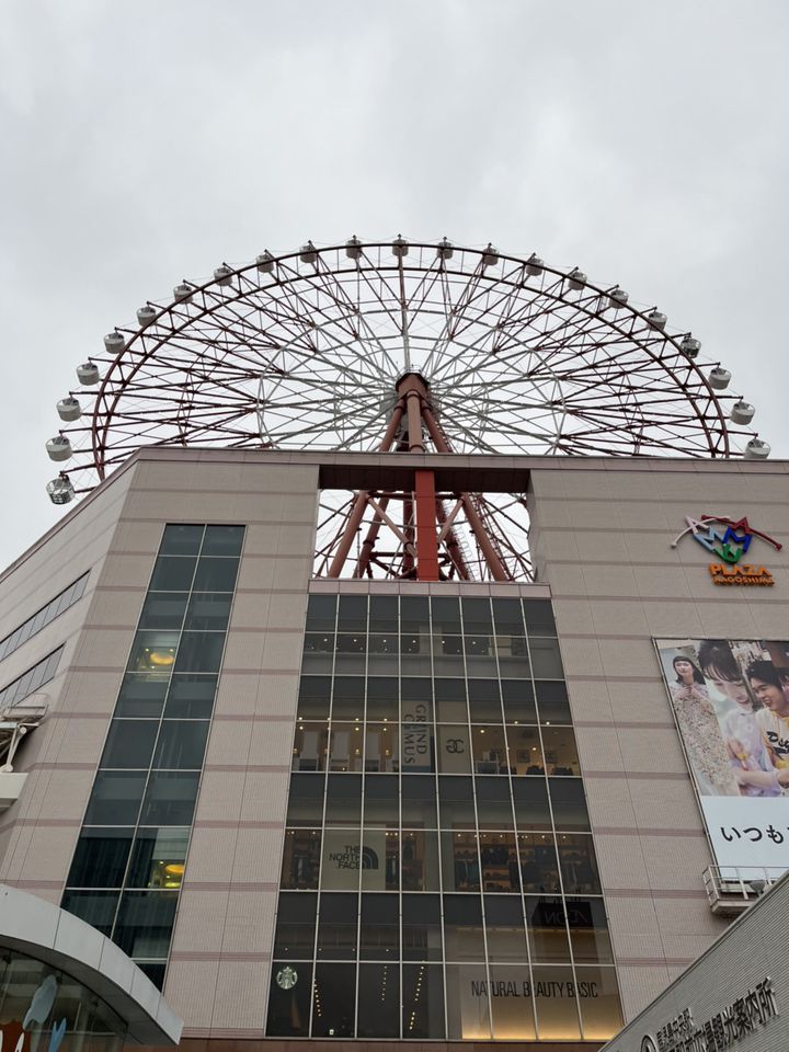 鹿児島中央駅東口バスターミナルのクスノキイルミネーションをみてきた