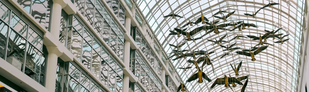 イートン・センタートロント在住日本人のおすすめショッピング・買物スポットロコタビ