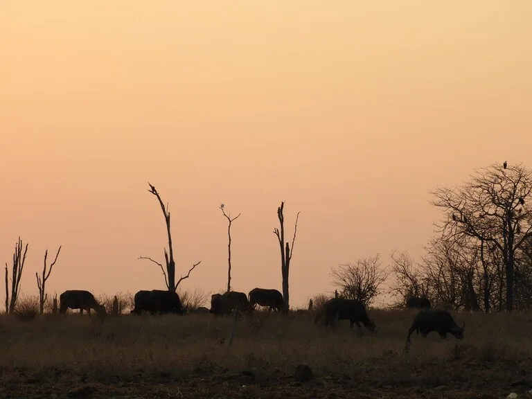 バハマって🇧🇸どこにあるの？ . バハマ国 通称：バハマ は、カリブ海に浮かぶ島々で成り立つ国西インド諸島にある島国なので、北西にはアメリカ合衆国のフロリダ半島🇺🇸、南西には2018年にアメリカとの国交を回復したキューバ🇨🇺、南東にはハイチ🇭🇹があります