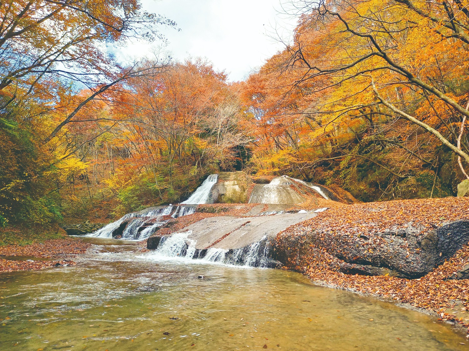 西郷村観光ガイド季節で巡る福島と栃木 〜那須・白河・会津旅