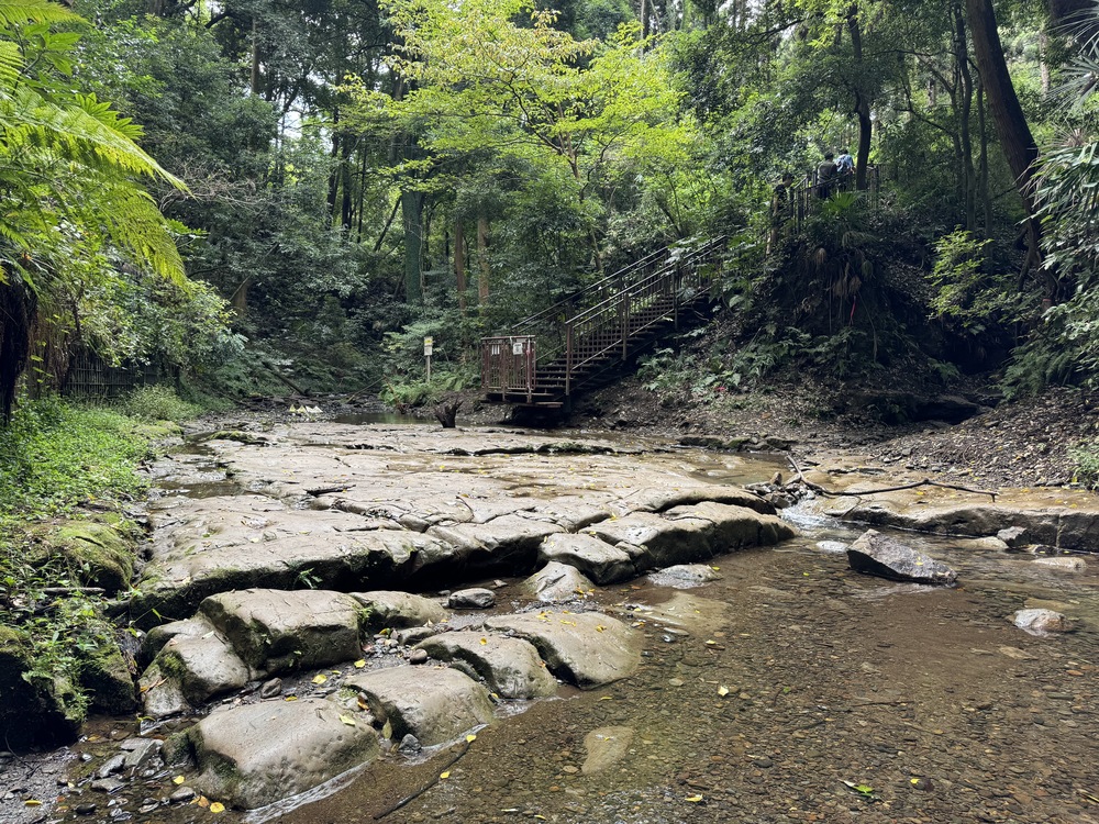 夏休みの涼しいお出かけコース：森の中で川遊び「陣ヶ下渓谷公園」→高架下でずっと日陰「陣ヶ下渓谷ひろば公園」→三方向からスプラッシュ攻撃「東川島水道みち 公園」。自然×人工の水遊びスポットめぐり：小学生も楽しめる遊び場vol.4 横浜市保土ヶ谷区横浜・湘南で