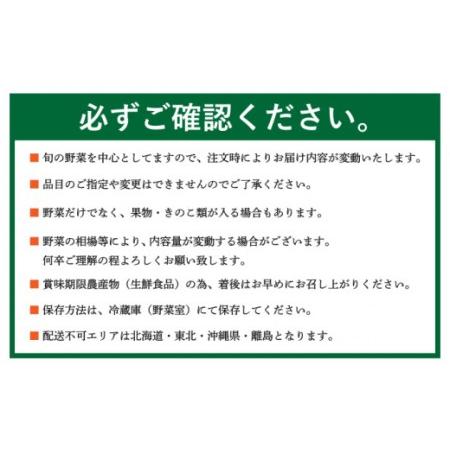 関西空港の従業員、コロナ禍前より５千人超の減少 特に目立つ若手の非正規社員 : 読売新聞