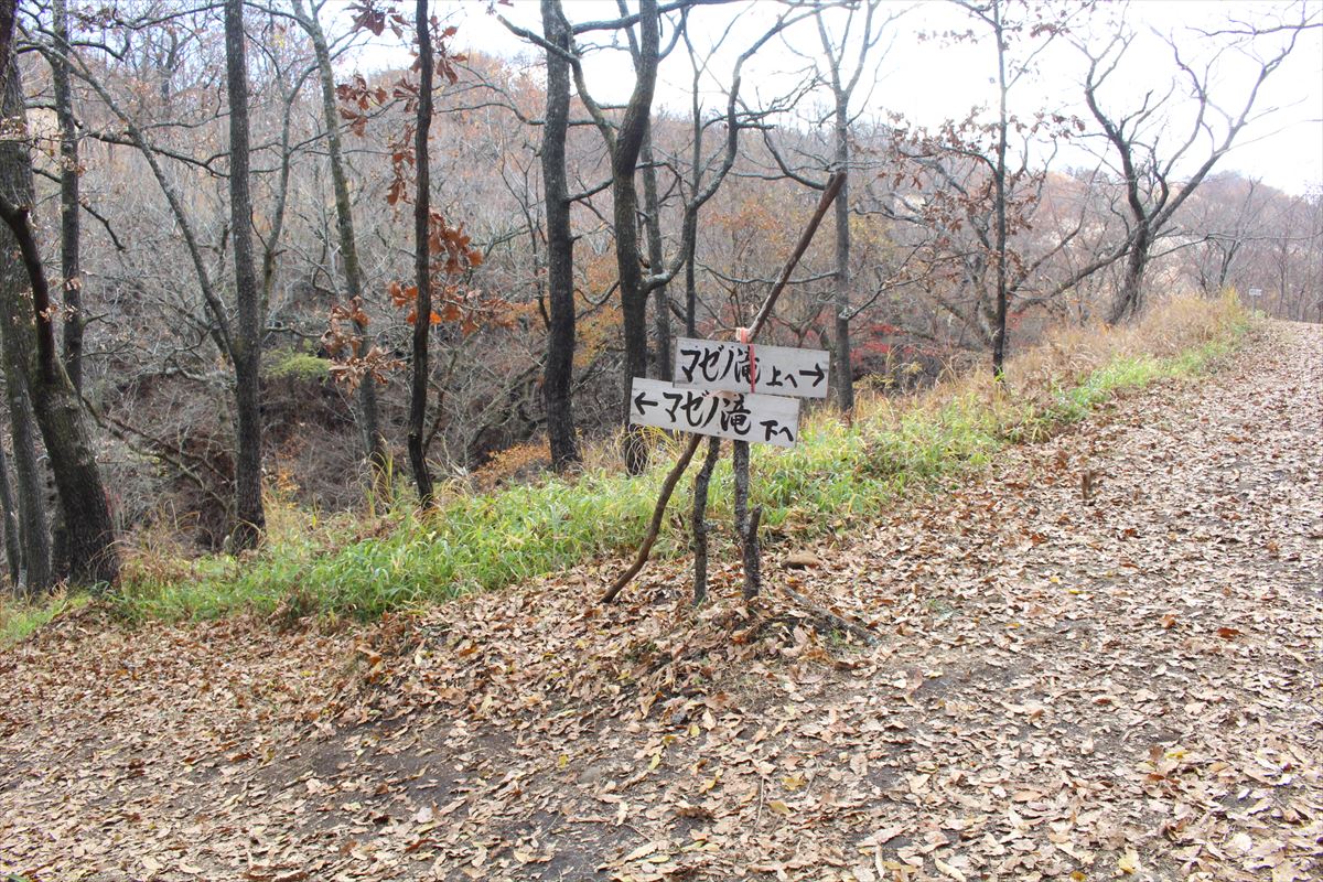 1日1組限定！ノー密で贅沢なプライベート空間をあなたに。阿蘇・南小国の秘境『マゼノ渓谷』貸切プランのご紹介！ - SMO南小国
