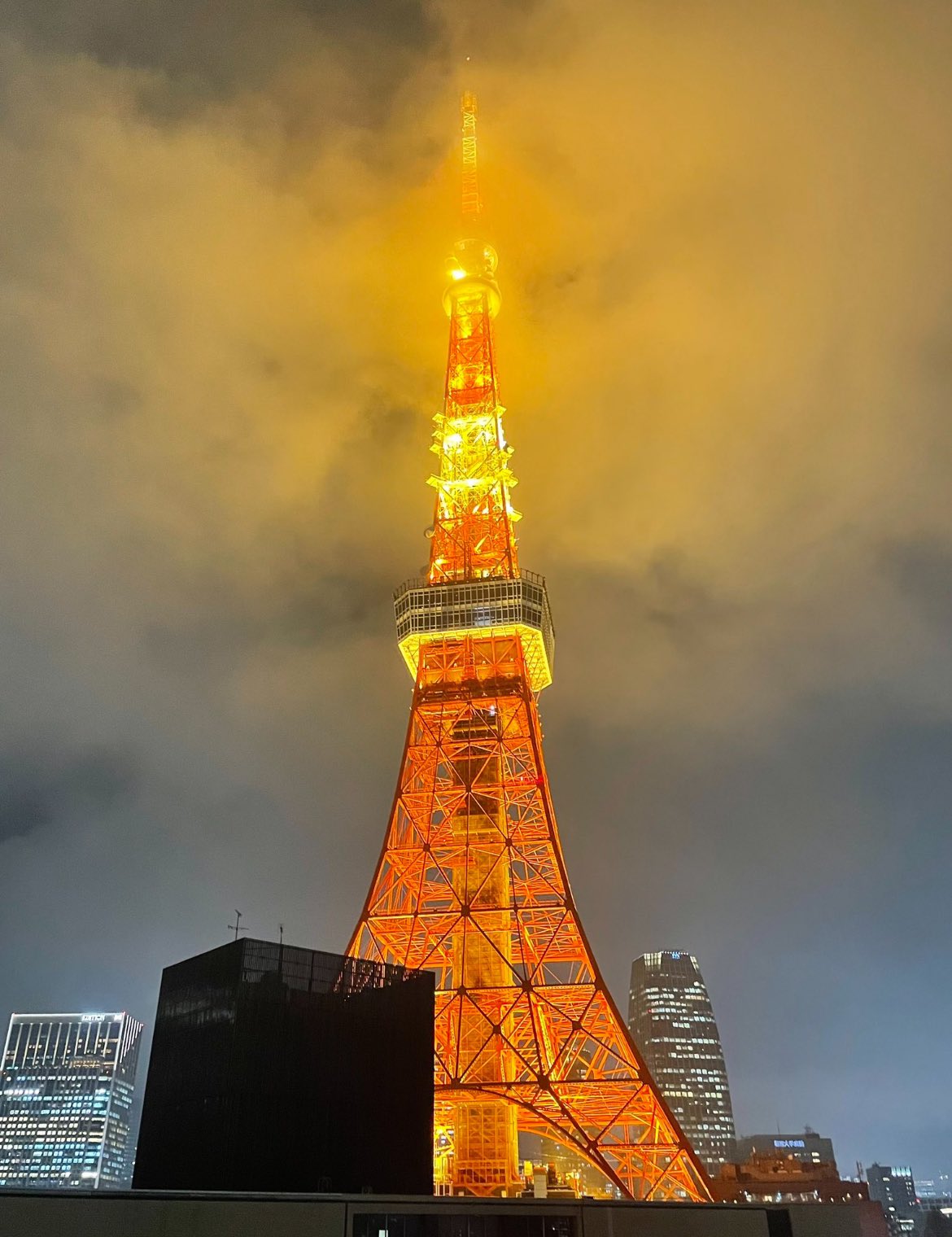 トラウムトレーニング in 東京タワースタジオ in東京 - パスマーケット