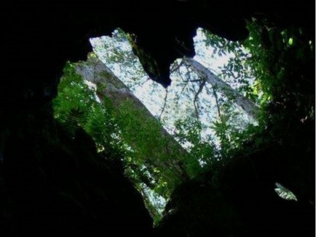 世界遺産 屋久島旅行・ツアー HIS 国内旅行