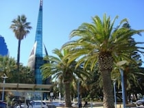 ニュー・サウス・ウェールズ 2025年イベントガイド