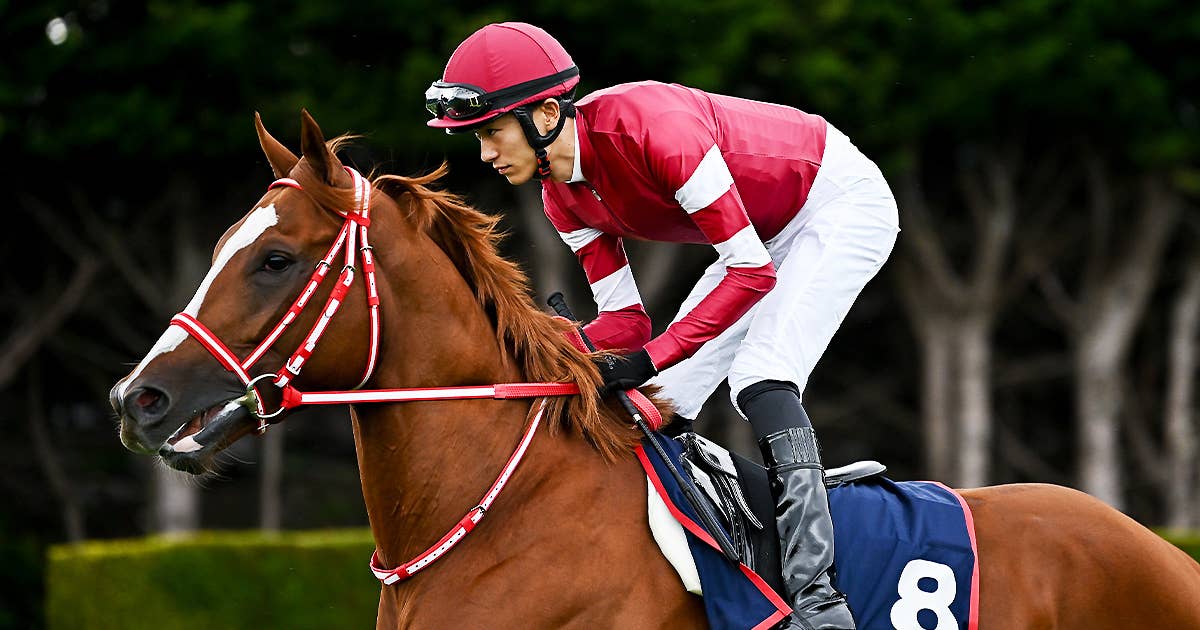 凱旋門賞海外旅行海外パリパリロンシャン競馬場競馬好きクロワディノール北村友一