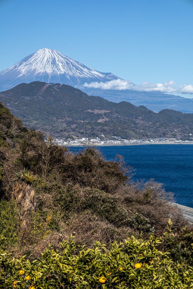薩埵峠 さった峠 のライブカメラに写る＠ワークスHA36Sとしぼー713のブログとしぼー713 の HA36Sアルトワークス 5MT-4WDのページ - みんカラ