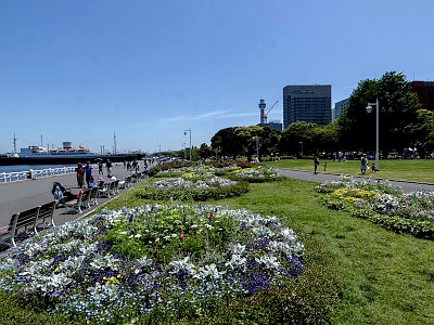 山下公園 横浜：山下地区ドライブコンサルタント