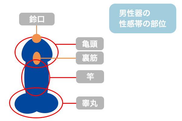 オナニーしすぎるとどうなる？やりすぎ防止 - 夜の保健室