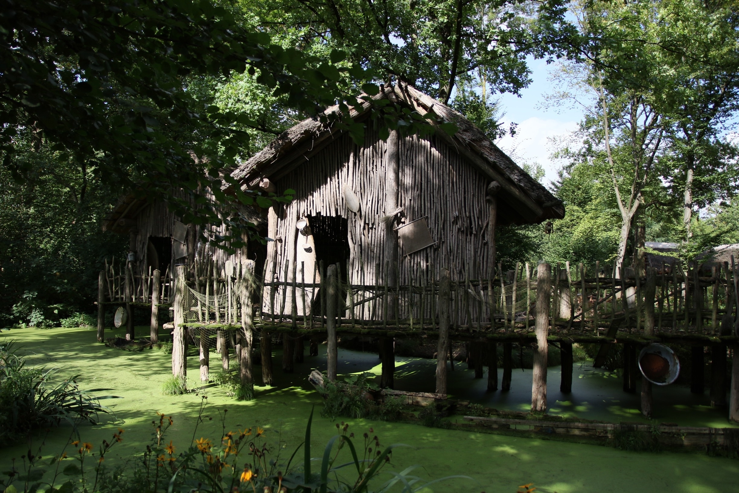 三つ子姉妹！ ドイツの動物園で30年ぶりにライオンの赤ちゃん誕生 - 2021年11月16日, Sputnik 日本