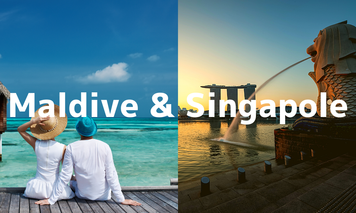 シンガポールグルービーツアー モルディブ旅行の老舗専門店