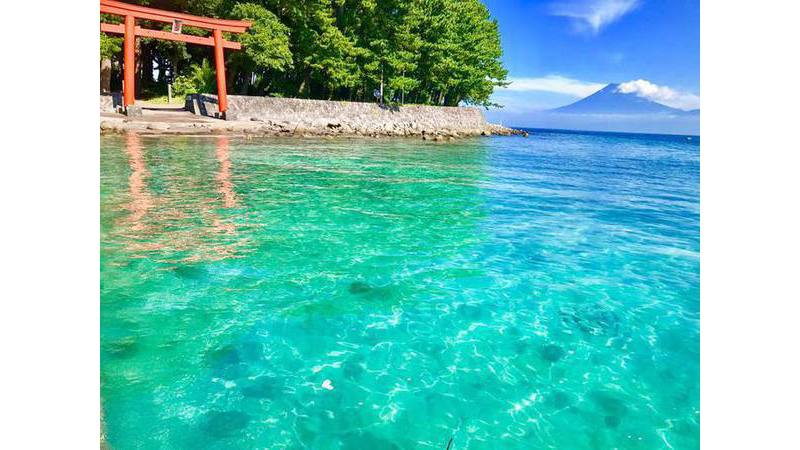 沼津・伊豆エリア静岡発！富士山ビュースポット特集TNC