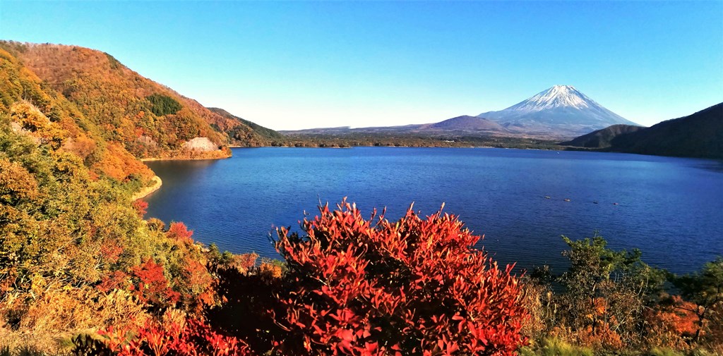 2.14本栖湖中ノ倉峠展望台✨