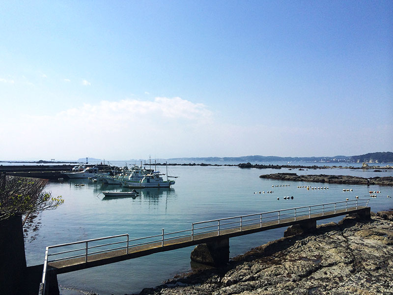 海岸沿いの絶景カフェ＆バー「seaside-cafe BlueTripシーサイドカフェ ブルートリップ 」 名護市OKITIVE