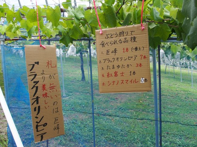 お弁当 ぶどう狩り– 青蓮寺湖ぶどう組合