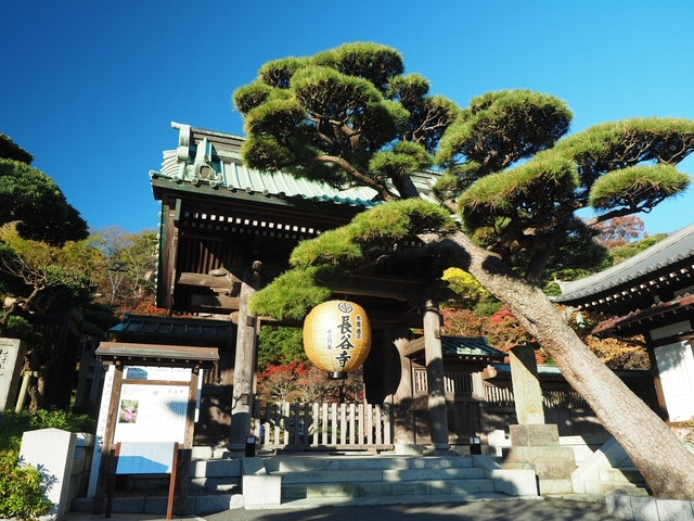 鎌倉観光の穴場スポット16選〜鎌倉ツウになれるディープな場所教えます〜鎌倉地域Webメディア かまくらいふ