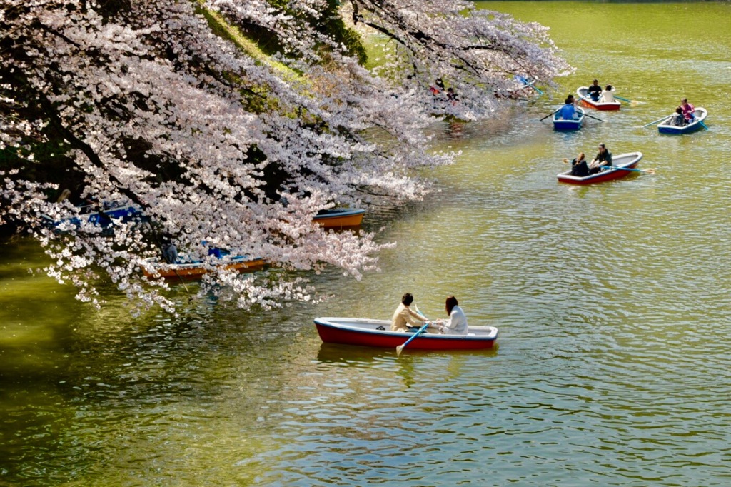 fk920-手漕ぎ船絵葉書資料館