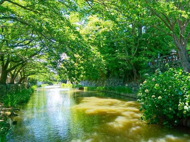 八幡堀めぐり アクセス・営業時間・料金情報 - じゃらんnet