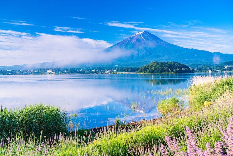 精進湖キャンピングコテージ精進湖キャンプ場 精進湖の貸別荘・コテージ・グランピング・キャンプサイト