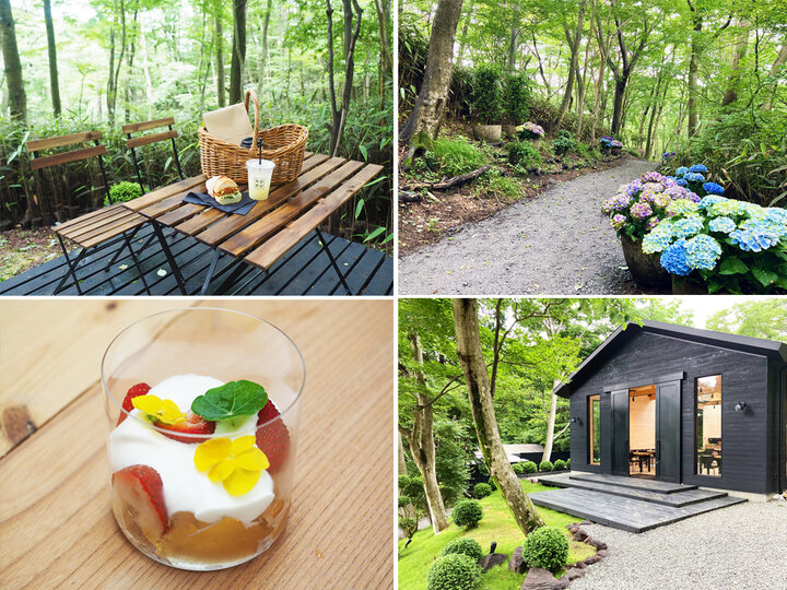 犬同伴OK ニコライ バーグマン 箱根 ガーデンズに行ってきました