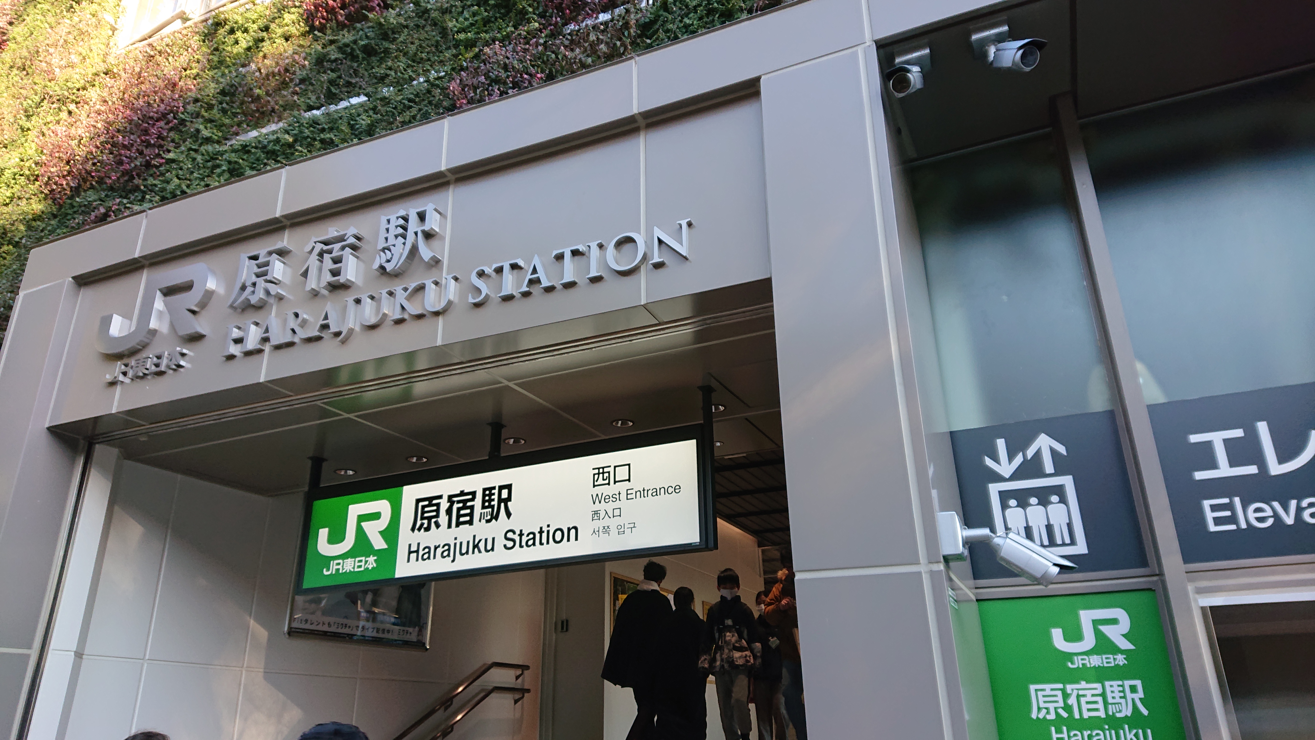原宿駅～竹下通り～東郷神社周辺原宿の紹介 写真102枚