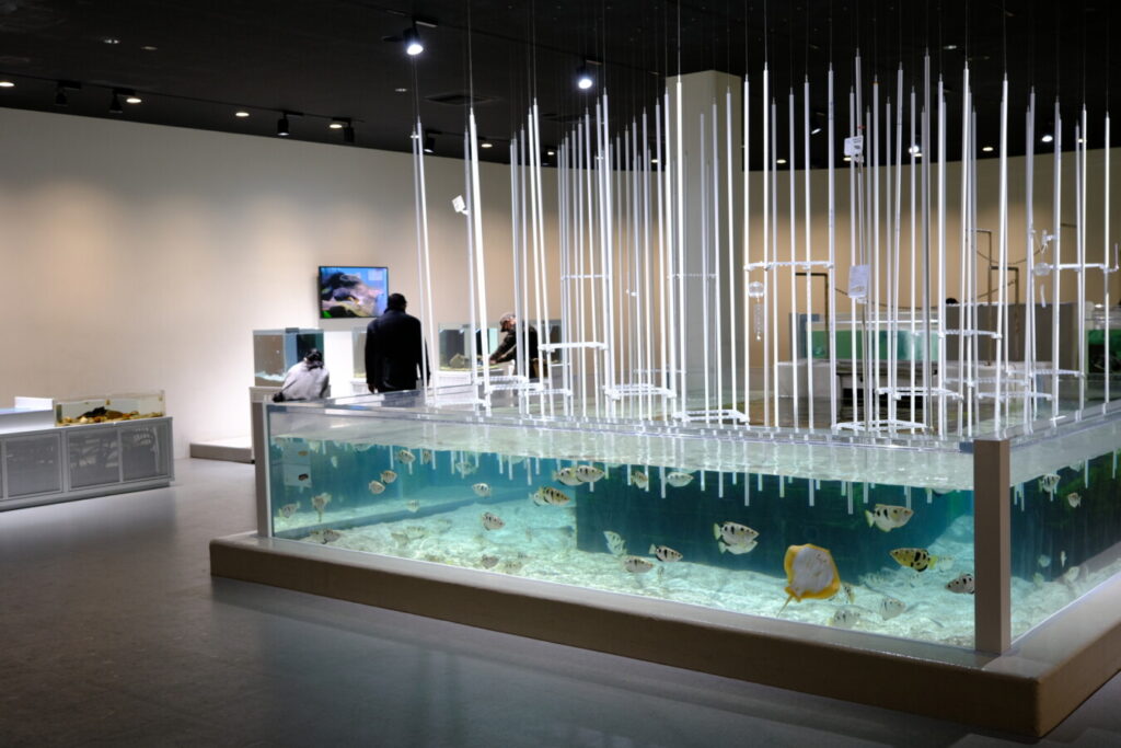 大阪 雨の日デートに行きたいスポット12選！屋内で休日を満喫しようPrettyOnline