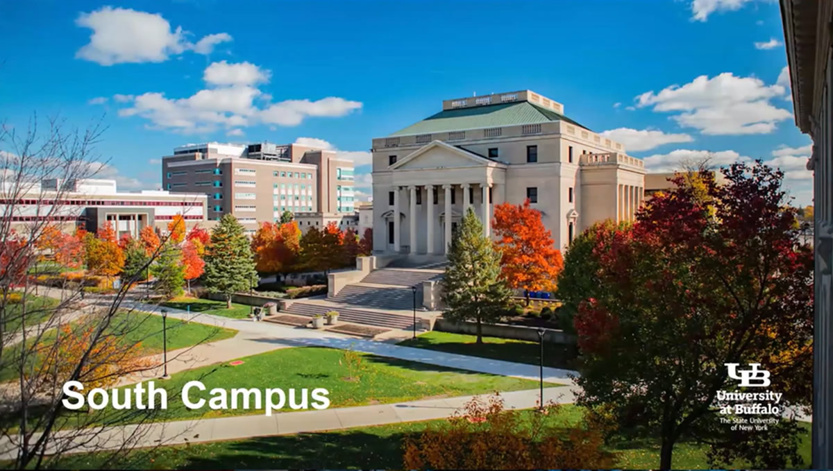 269,030 ニューヨーク州バッファロー市 Stock Photos, High-Res Pictures, and Images - GettyImages