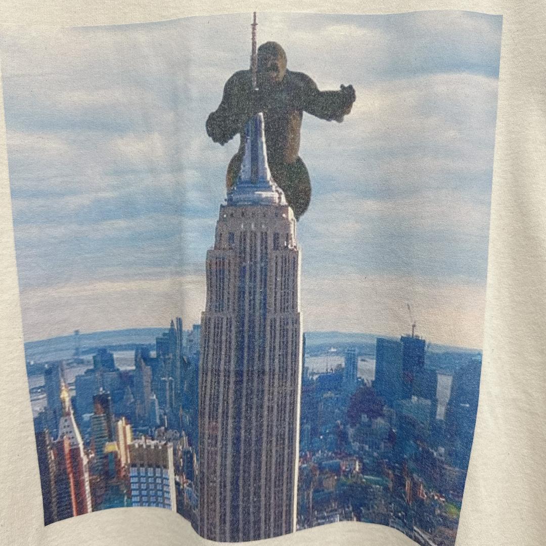 エンパイアステートビルからの眺め