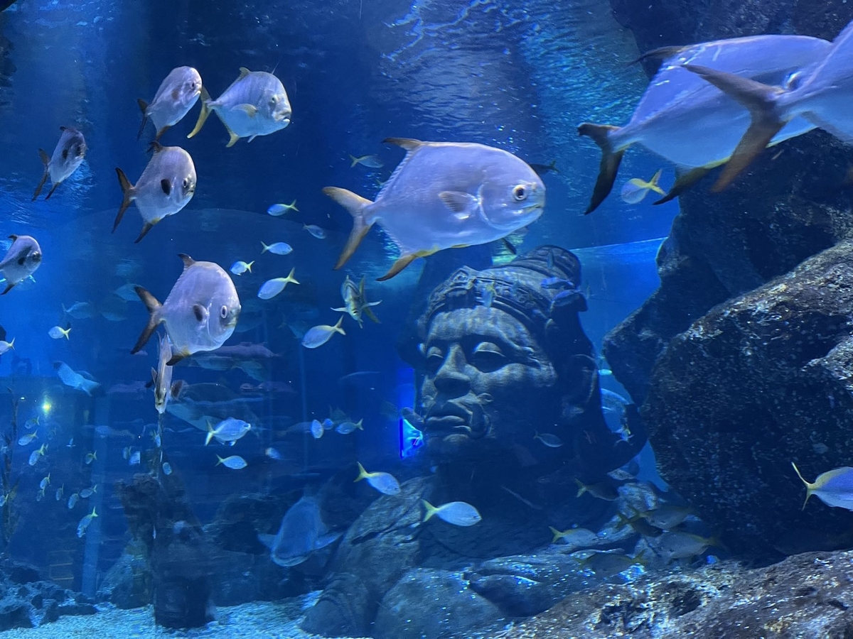 シーライフ・バンコク・オーシャンワールド割引チケット +マダムタッソーオプション