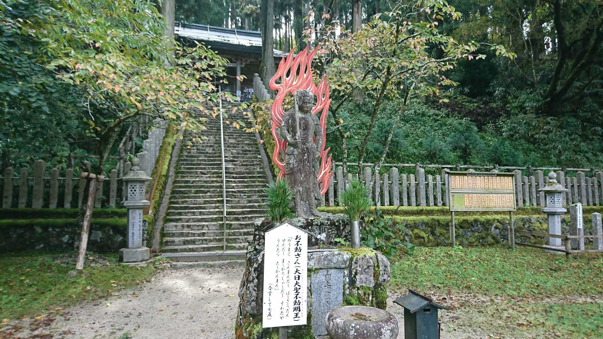 金剛山」残念ながら雪は無かった！: どた３は永遠にⅢ