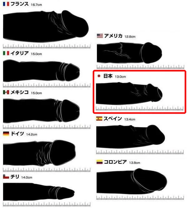 コラム】チン長って大事？ 日本人の平均チン長から読み解く「本当に大事なもの」 - 性癖マッチンコラム