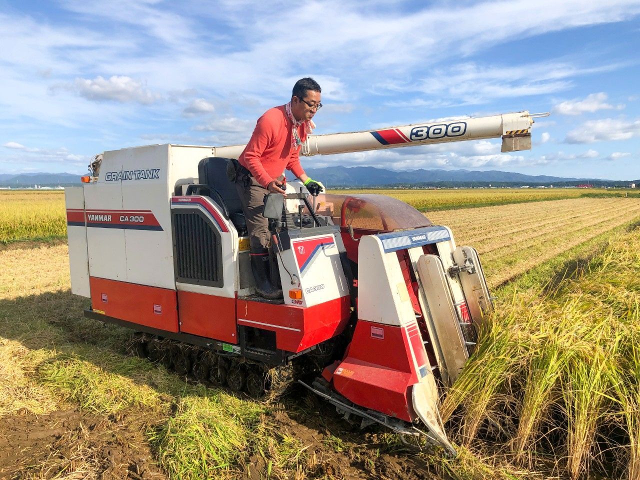 田植えの時期っていつ？ お米ライターの稲作農事暦 土作りから稲刈りまでの年間スケジュールを解説マイナビ農業