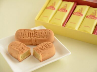 お土産キーホルダーコレクション、日本観光大全、東北地方旅行、福島県、鶴ヶ城