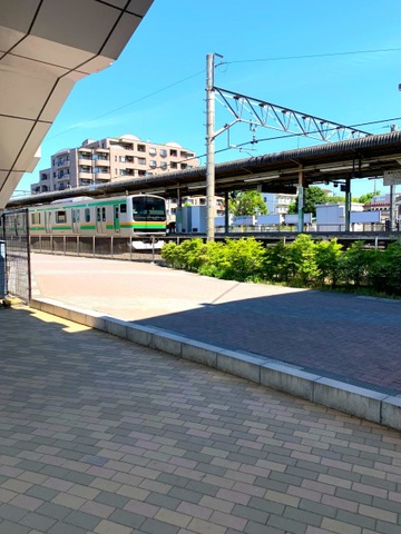 中山道歩き旅 北鴻巣～深谷⑨〈深谷駅・ゴール〉 | りんりんりりりんわ〜るど