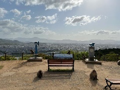 サルの楽園！ひたすら餌をもらう『嵐山モンキーパーク』の猿たちが怠惰すぎる 動画ガジェット通信 GetNews