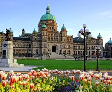 カナダ ビクトリア観光ならココ！絶対に外せないスポット5選トラベルスタンダードジャパン