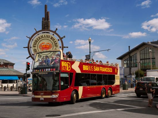 キャンプに持っていきたい！おすすめのアイアンラック8選 - Campifyマガジン