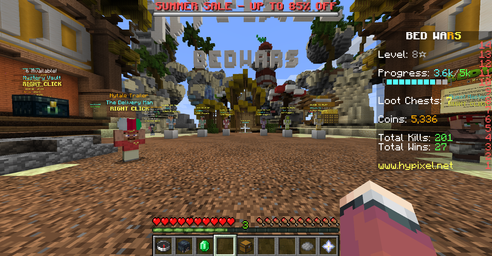 マイクラHIVEサーバーのベットウォーズのやり方、攻略九州アクア日和