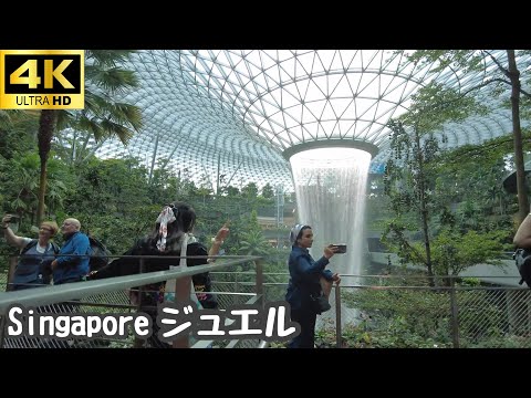 チャンギ国際空港内ジュエルの滝とショッピング♪帰国・総括編 シンガポール旅行2024 5日目④～ダダ子と行く、海外旅行・世界遺産おっちゃまげた～