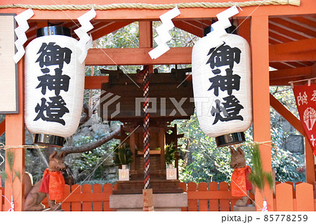 神社用提灯 祭礼提灯 九長 和紙 御神燈 三色幕 ワイヤー 御神燈幕柄印刷付 ちょうちん