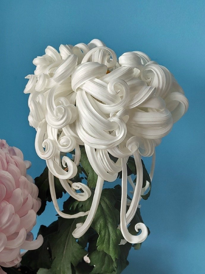 瑞鳳殿 - せんだい・宮城フィルムコミッション