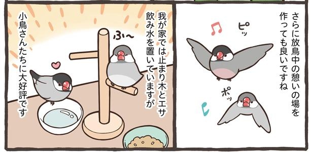 舞台「飛び立つ前に」フライヤー チラシ 10枚 前田敦子 岡本圭人 橋爪功若村麻由美奥貫薫剣幸片Yahoo!フリマ 旧PayPayフリマ