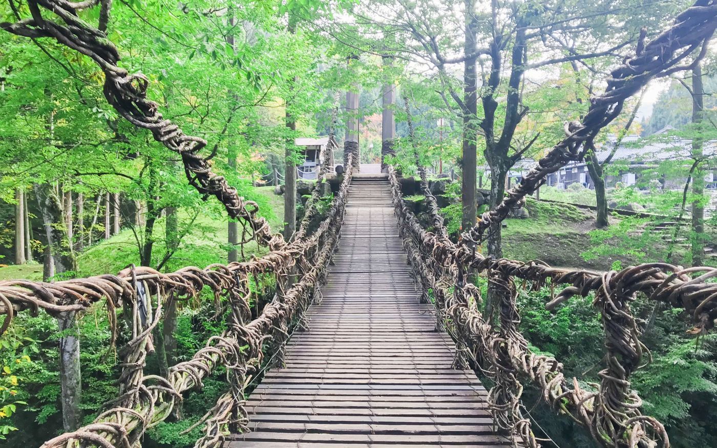 福井のかずら橋で子供と遊ぶ足羽川で子供と遊ぶ