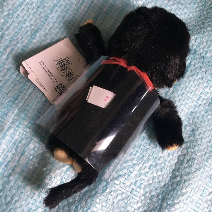 箱根 土産 大涌谷限定 うずらの黒たまご 一袋 20個入り - メルカリ