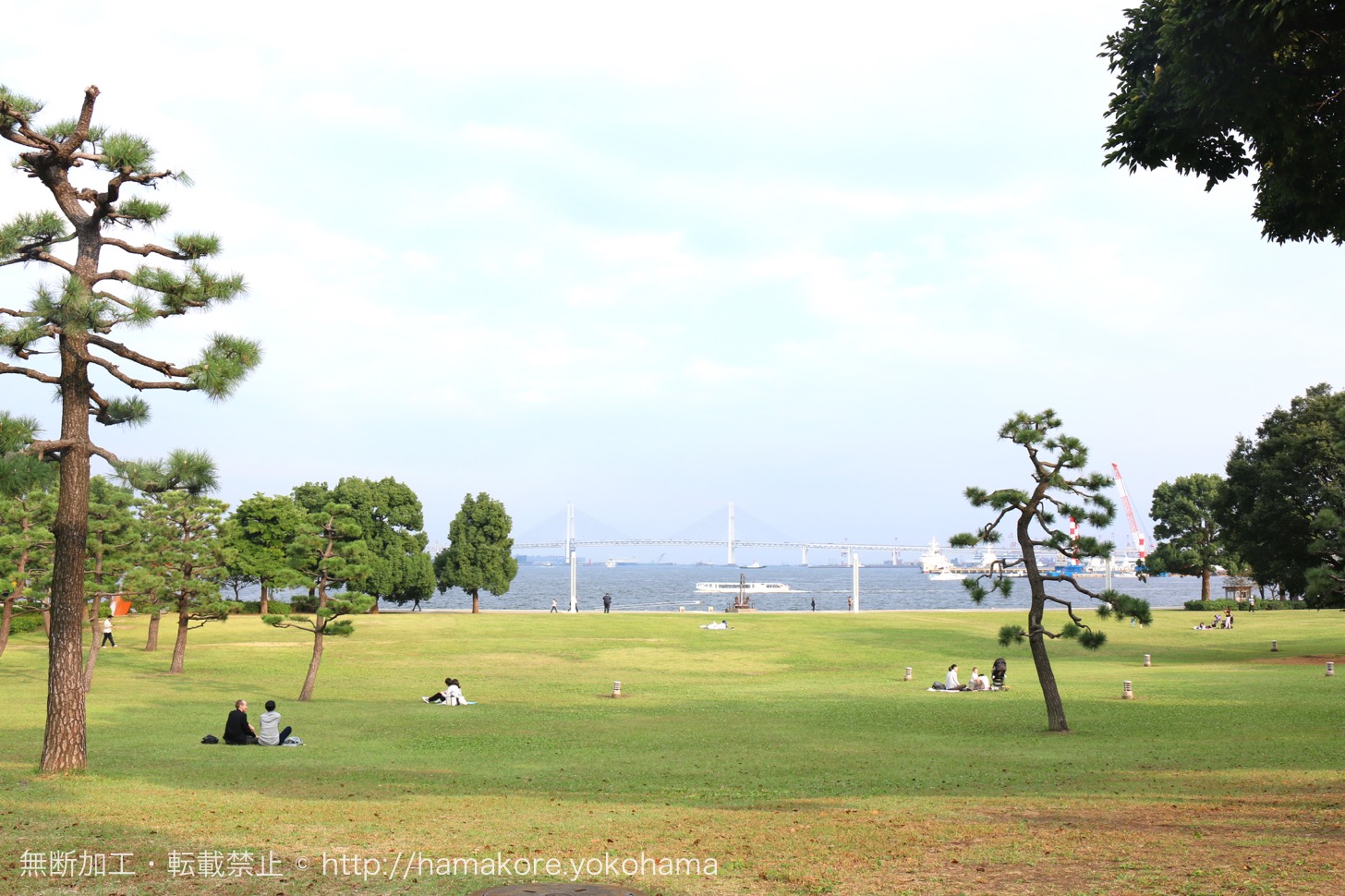 臨港パークから夜景を撮るTokyo Night View
