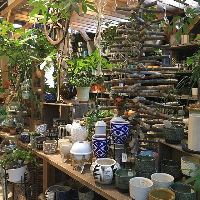 茨木市 「ザ ファーム ユニバーサル 大阪」が10周年記念イベントを開催 3月29日 土 ・30日 日号外NET 茨木