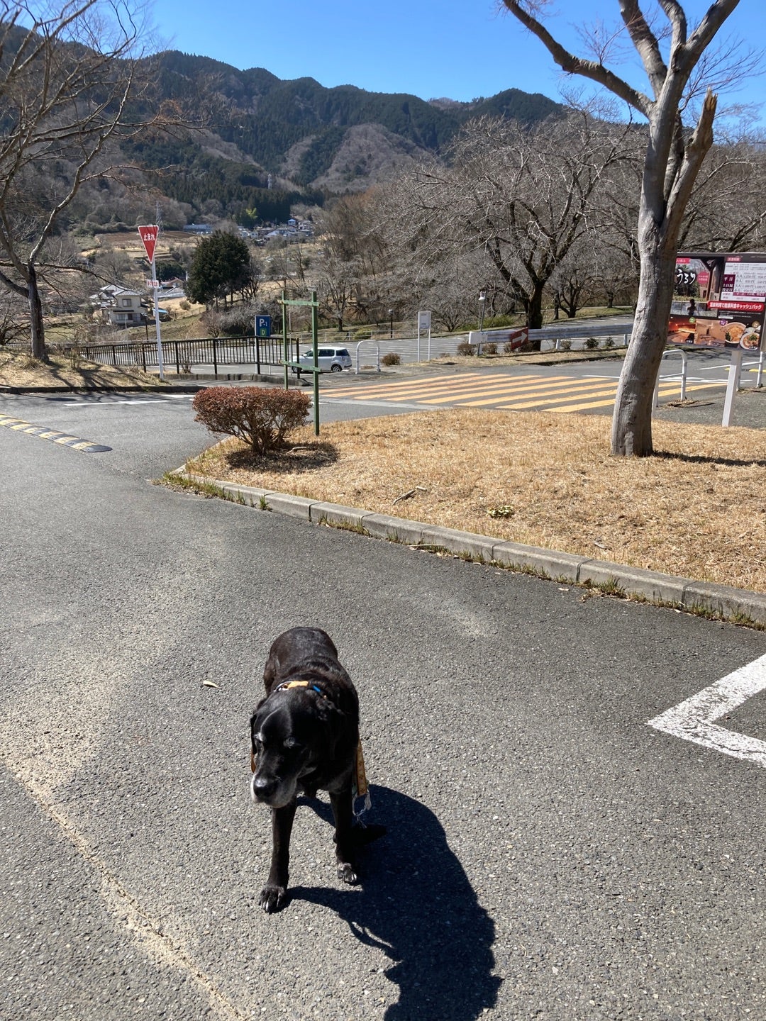 相模原市観光協会 on X: 