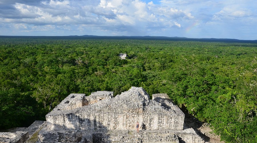 カラクムル生物圏保護区、カンペチェ、メキシコ : r hiking